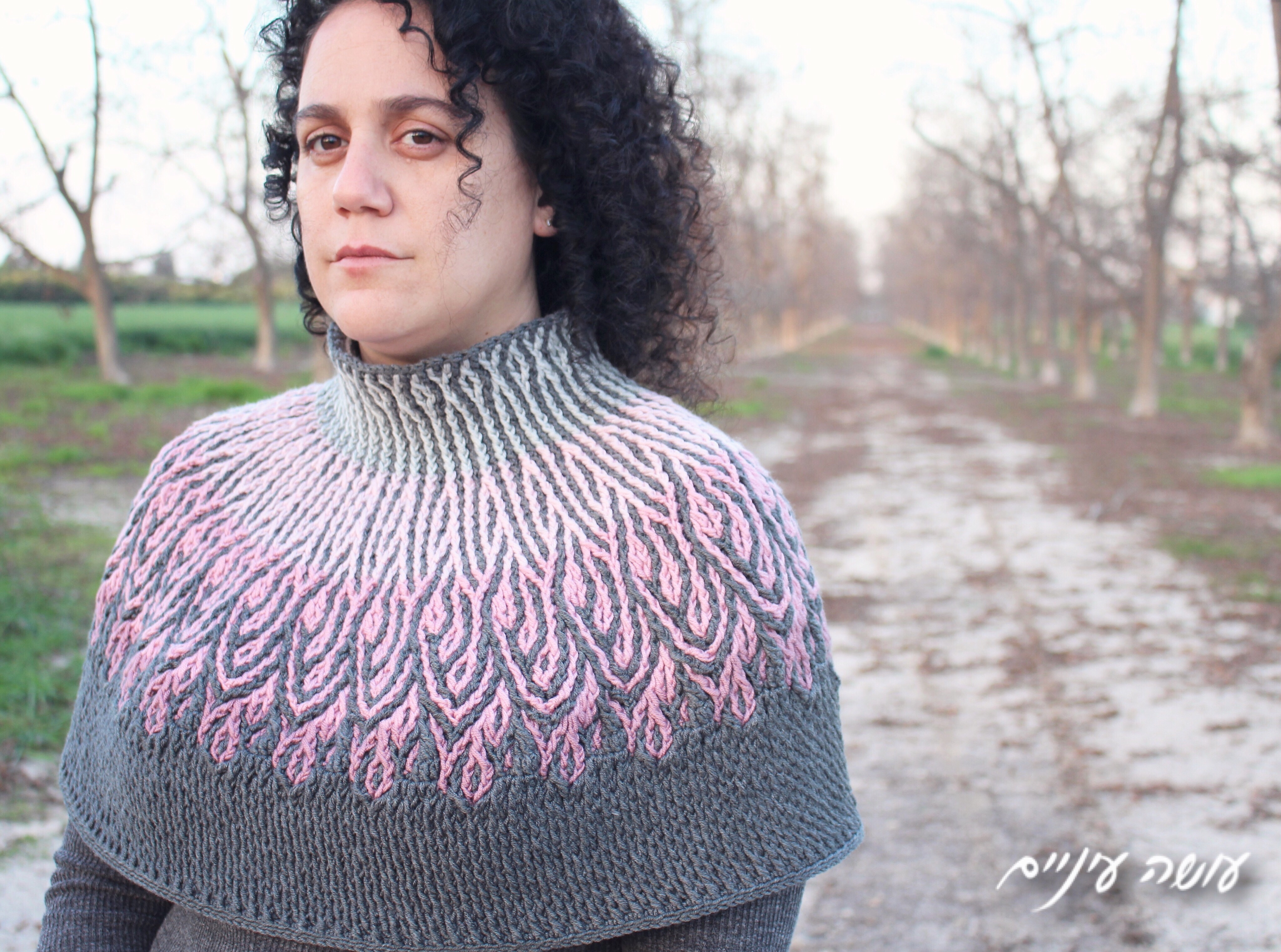 שכמיה של נסיכות – מה לא ברור?